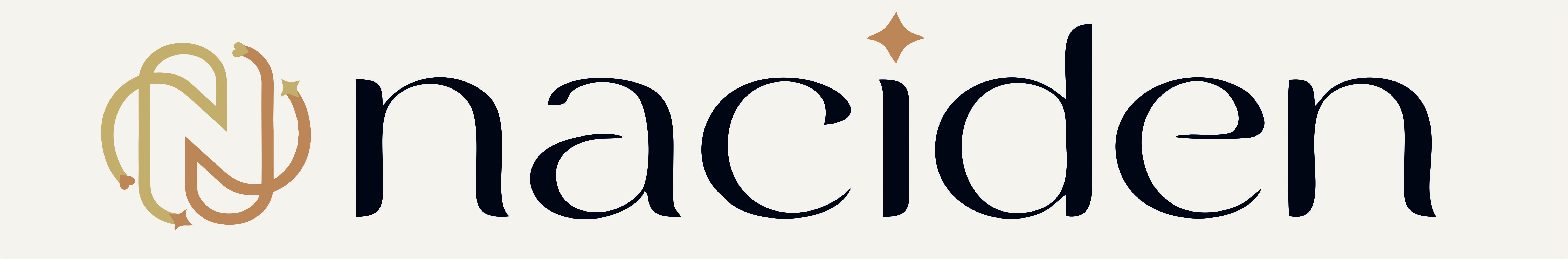 Naciden Logo